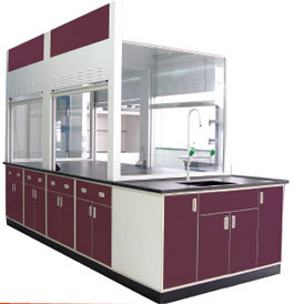 實驗室通風(fēng)柜、毒氣柜